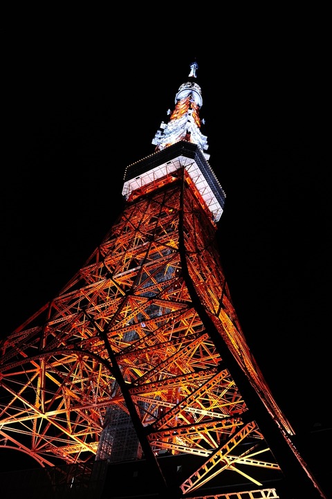 AFF3 __DSC0684