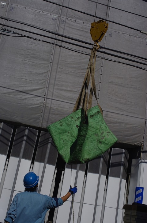AFF1 _IGP0645