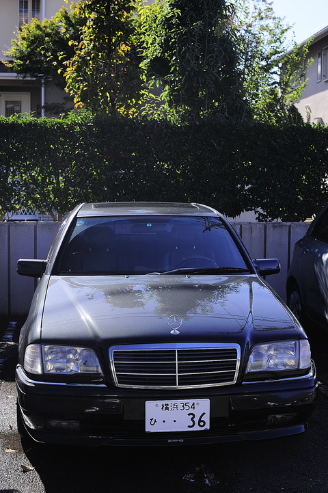 AFF1 _DSC0316