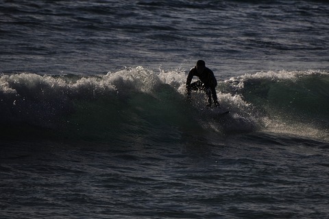 Kako 2015 01 02 D300S _DSC0162