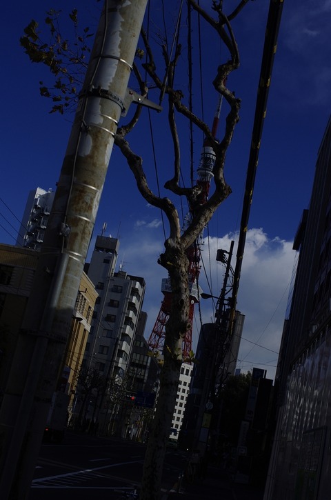 iPhone5_IGP9861