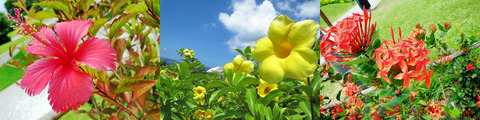 沖縄_03