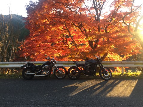 写真 2018-11-27 15 58 52
