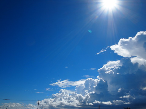 10cfef91bf6a527c3b2b9f8c09987b56_l