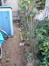 s-P1000080