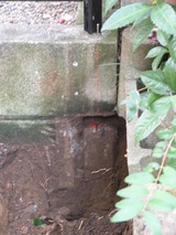 s-P1010039