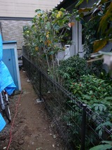 s-P1000082