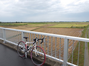 阿賀野川横雲橋