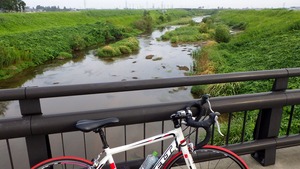安野川の朝