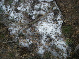 山古志には残雪がまだあった