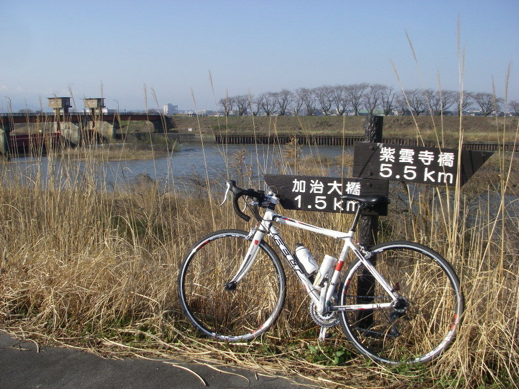 自転車通勤11~12回 加治川 亀田 ...