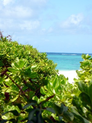 15 062