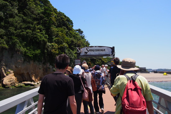 横須賀 猿島
