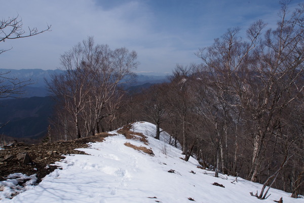 ����㻳����������