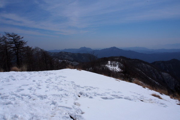 ����㻳����������