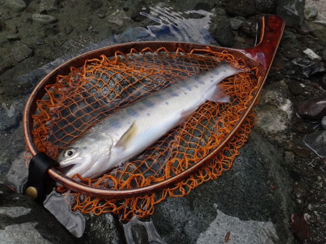 ΢ð�� ��ή �ƥ󥫥� ������ ��ޥ� ��