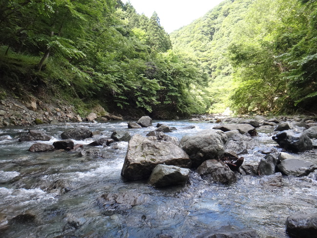 ΢ð�� ��ή �ƥ󥫥� ������ ��ޥ� ��