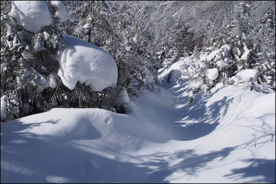 2017年1月31日 八ヶ岳 赤岳 厳冬期 冬季