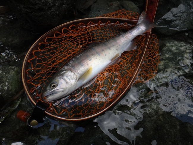 ΢ð�� ��ή �ƥ󥫥� ������ ��ޥ� ��