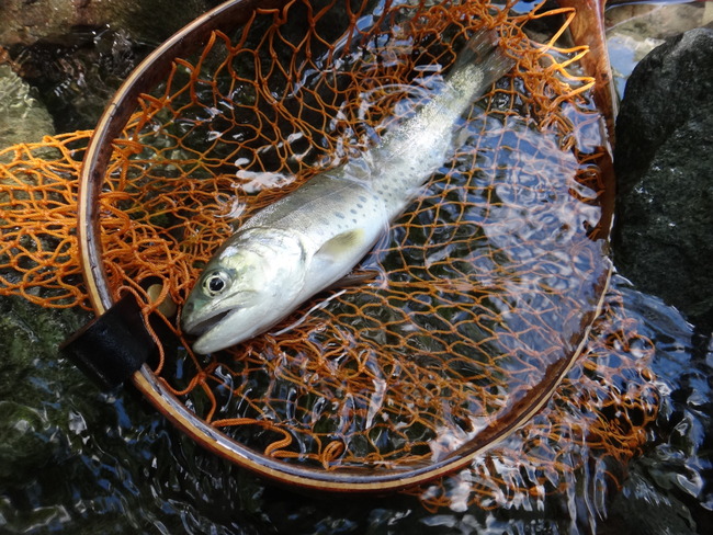 ΢ð�� ��ή �ƥ󥫥� ������ ��ޥ� ��