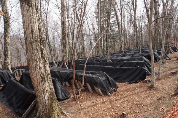 ����㻳����������