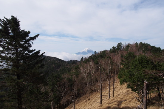 2017年5月16日 小金沢山 秀麗富嶽十二景 富士山