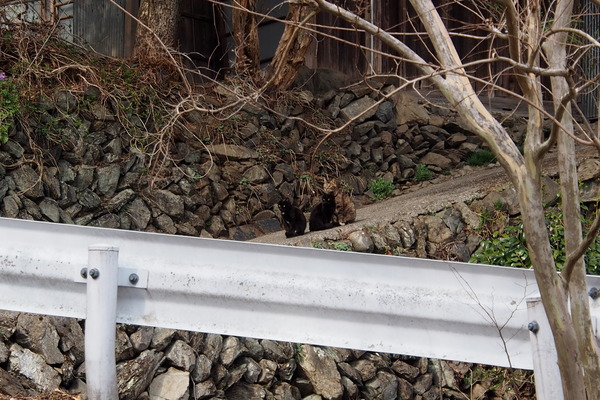 ����㻳����������