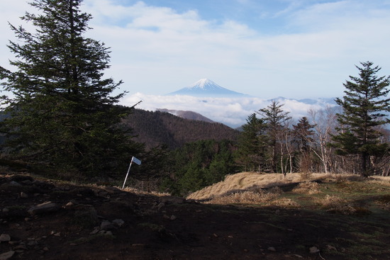 2017年5月16日 小金沢山 秀麗富嶽十二景 富士山