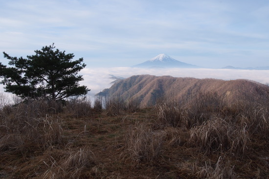 2017年5月16日 湯ノ沢峠 小金沢山 秀麗富嶽十二景 富士山