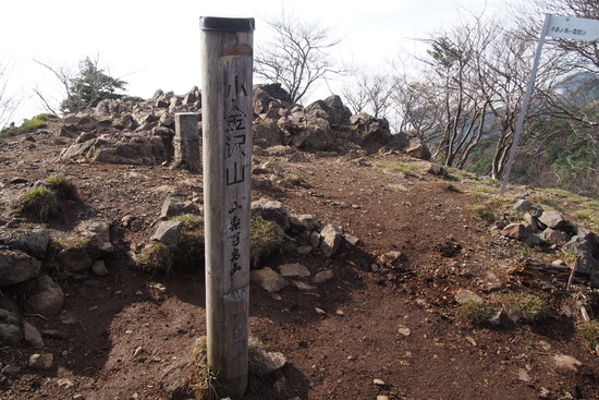 2017年5月16日 小金沢山 秀麗富嶽十二景 富士山