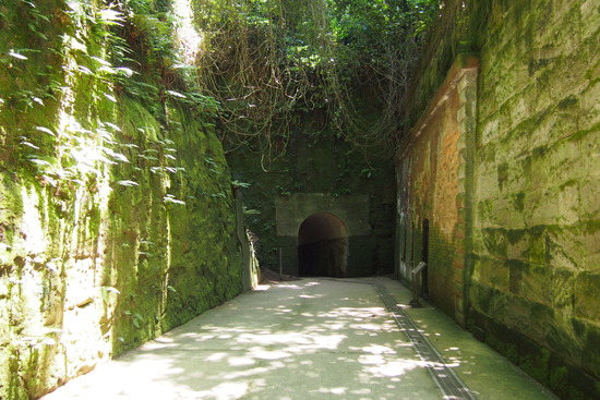 横須賀 猿島