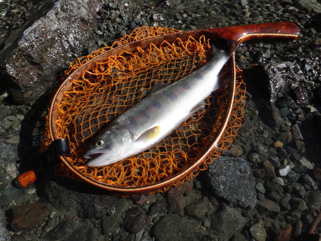 ΢ð�� ��ή �ƥ󥫥� ������ ��ޥ� ��