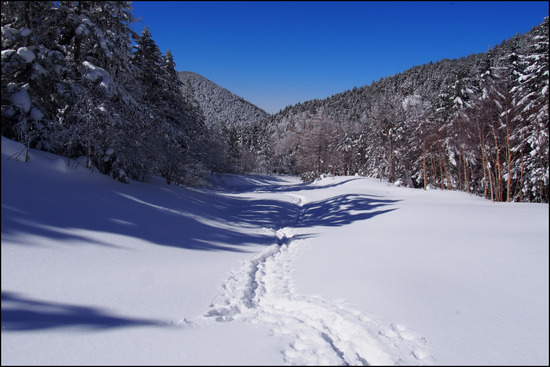 2017年1月31日 八ヶ岳 赤岳 厳冬期 冬季