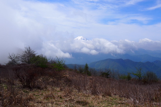 2017年5月16日 小金沢山 秀麗富嶽十二景 富士山