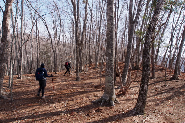 ����㻳����������