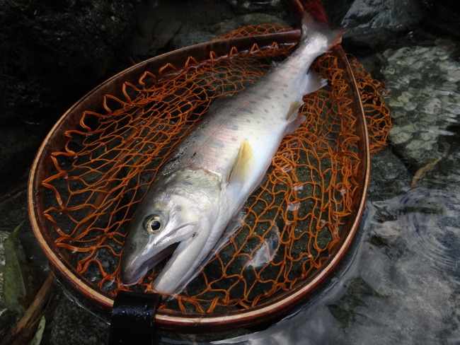 ΢ð�� ��ή �ƥ󥫥� ������ ��ޥ� ��