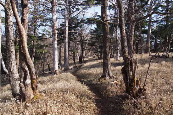 2017年5月16日 湯ノ沢峠 小金沢山 秀麗富嶽十二景