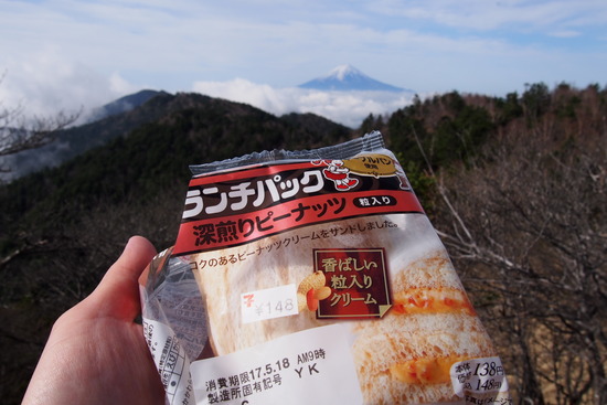 2017年5月16日 小金沢山 秀麗富嶽十二景 富士山
