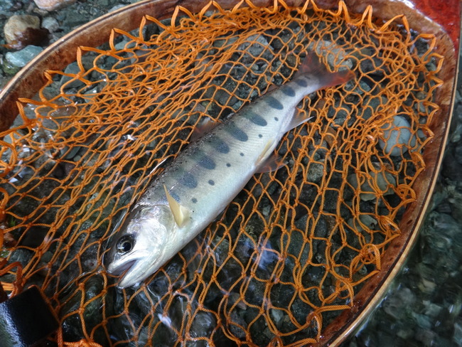 ΢ð�� ��ή �ƥ󥫥� ������ ��ޥ� ��