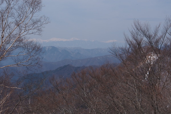 ����㻳����������