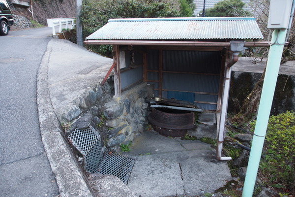 ��Τ������ͯ����