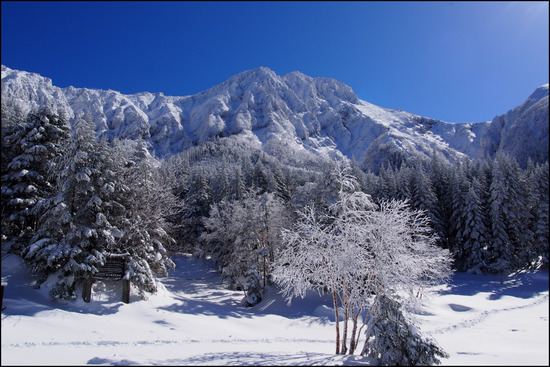 2017年1月31日 八ヶ岳 赤岳 厳冬期 冬季