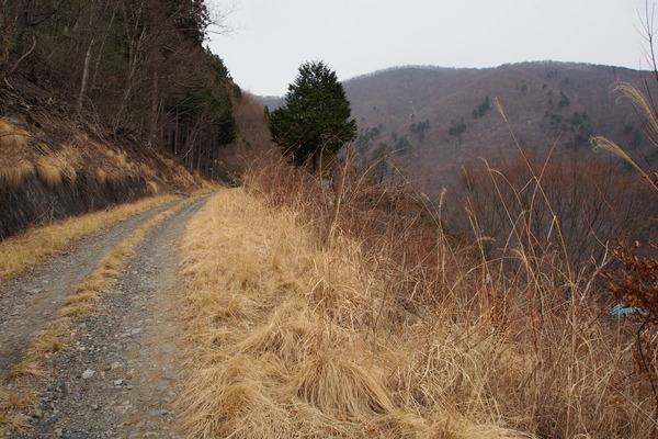 ����㻳����������