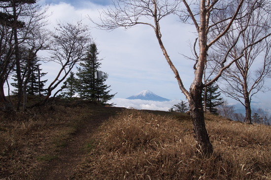 2017年5月16日 小金沢山 秀麗富嶽十二景 富士山