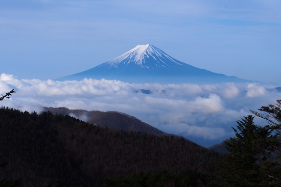 2017年5月16日 小金沢山 秀麗富嶽十二景 富士山