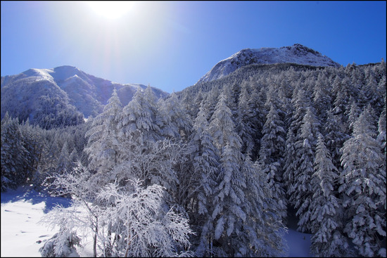 2017年1月31日 八ヶ岳 赤岳 厳冬期 冬季