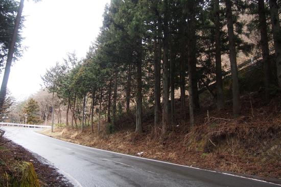 2017年3月14日 御正体山