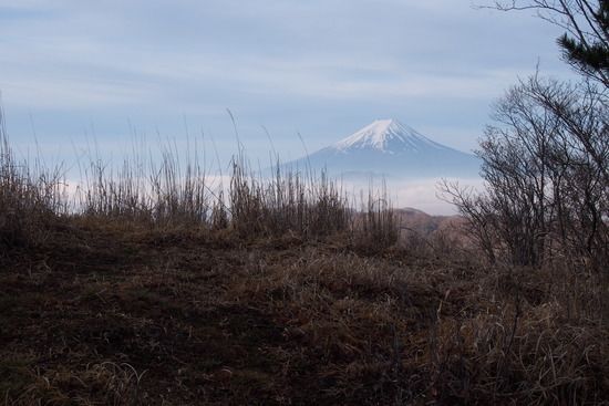 2017年5月16日 湯ノ沢峠 小金沢山 秀麗富嶽十二景 富士山