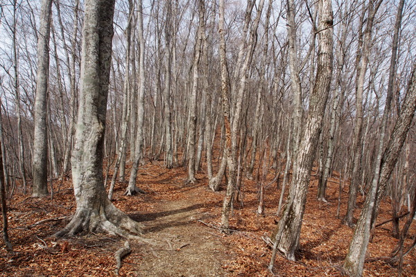 ����㻳����������