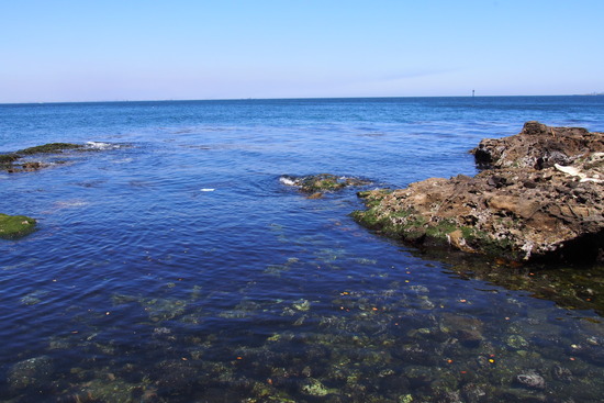 横須賀 猿島